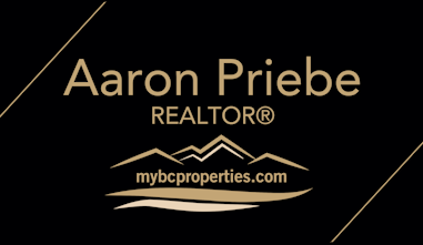 Aaron Priebe, Realtor